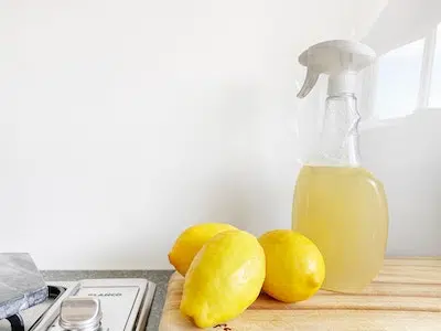 limpiar freidora sin aceite con limón